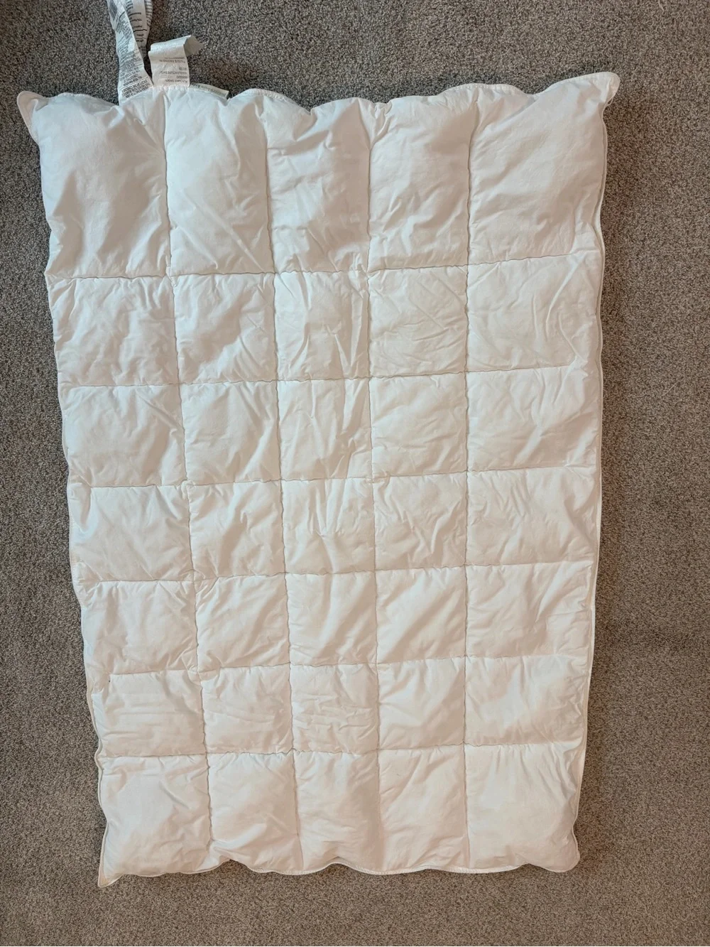 Pottery Barn Kids Eco Down Free Toddler Comforter Duvet Insert